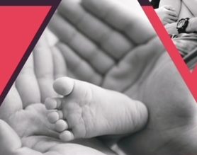 ulotka mops bydgoszcz